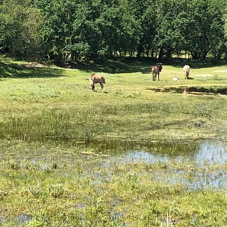 Geniessen Am Mit Wellnesszugang 度假居