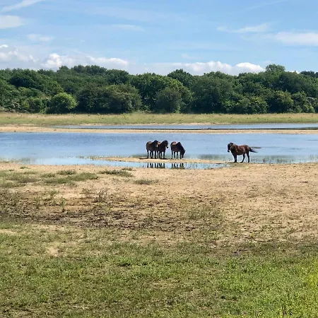 Geniessen Am Mit Wellnesszugang Hébergement de vacances *