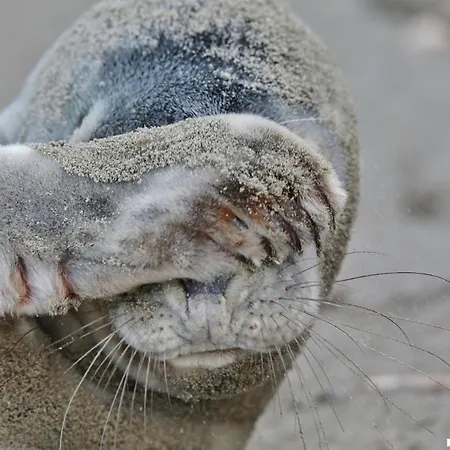 Hébergement de vacances Geniessen Am Mit Wellnesszugang *