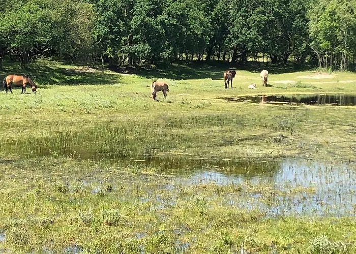 Geniessen Am Mit Wellnesszugang Semesterbostad
